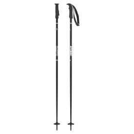 AMT Ski Poles