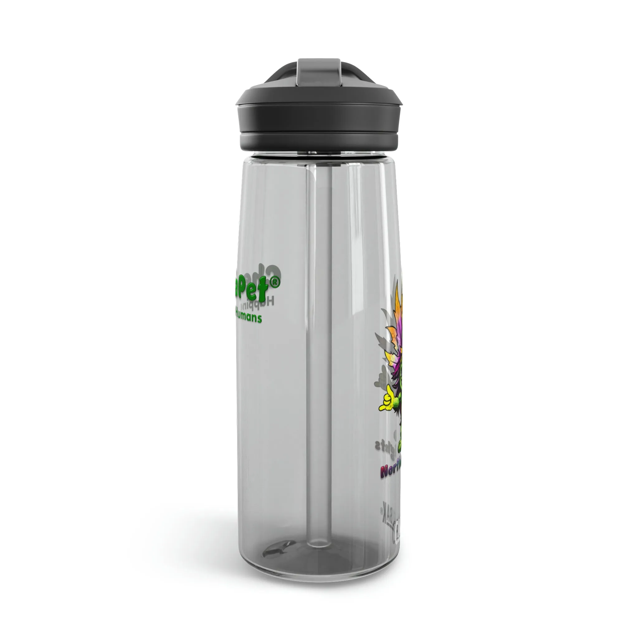 CamelBak Eddy®  Water Bottle 20oz - NorthernLights