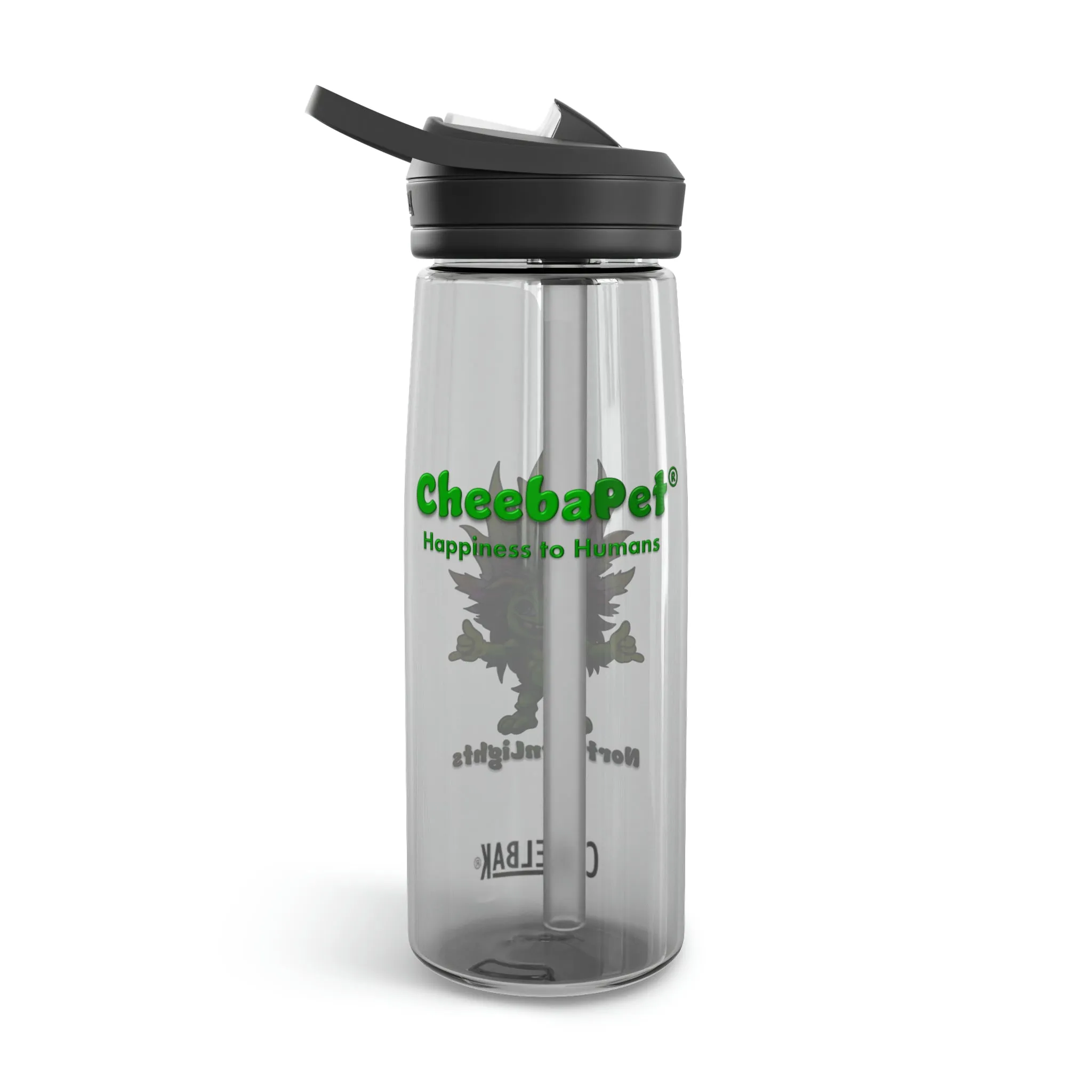 CamelBak Eddy®  Water Bottle 20oz - NorthernLights