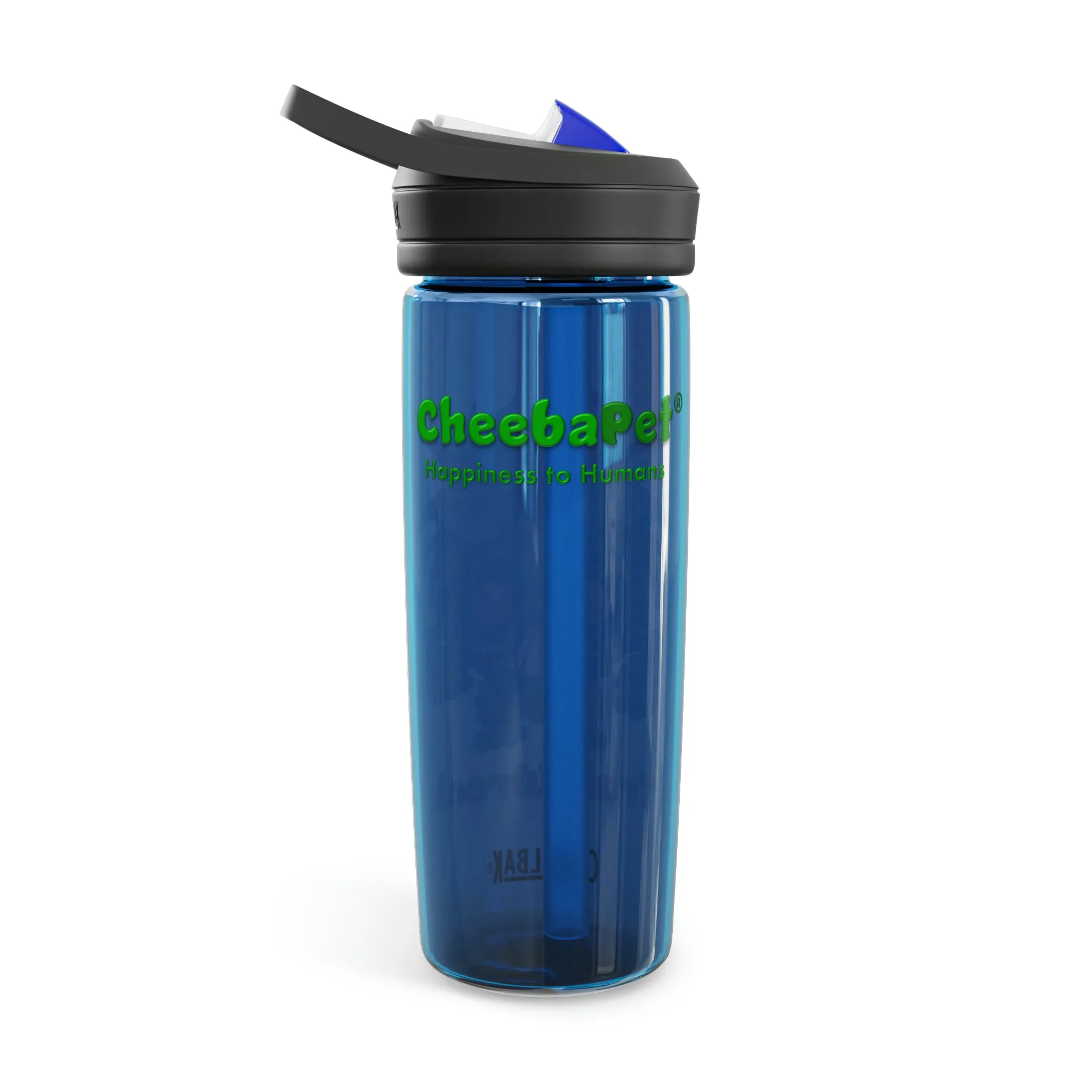 CamelBak Eddy®  Water Bottle 20oz - TrainWreck