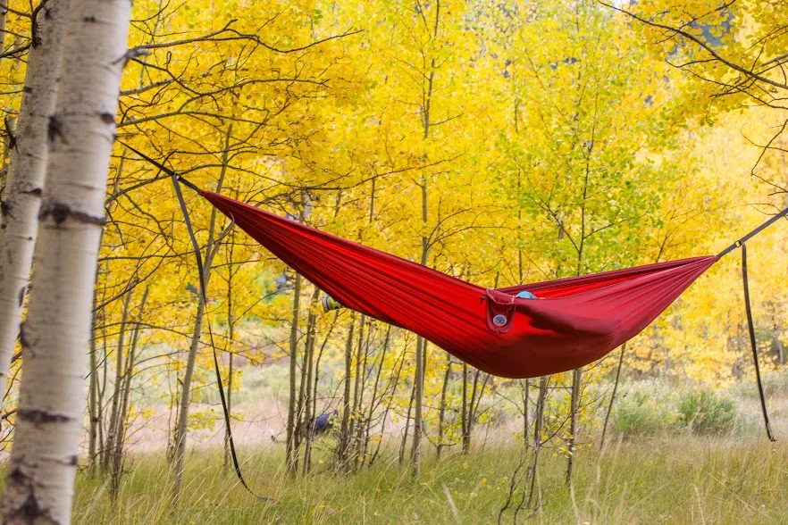 Freedom Hammock