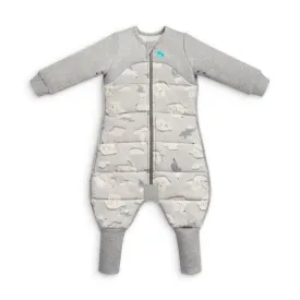 Love to Dream Sleep Suit 3.5T (South Pole) Grey Size 2